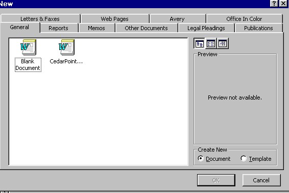 Microsoft Word